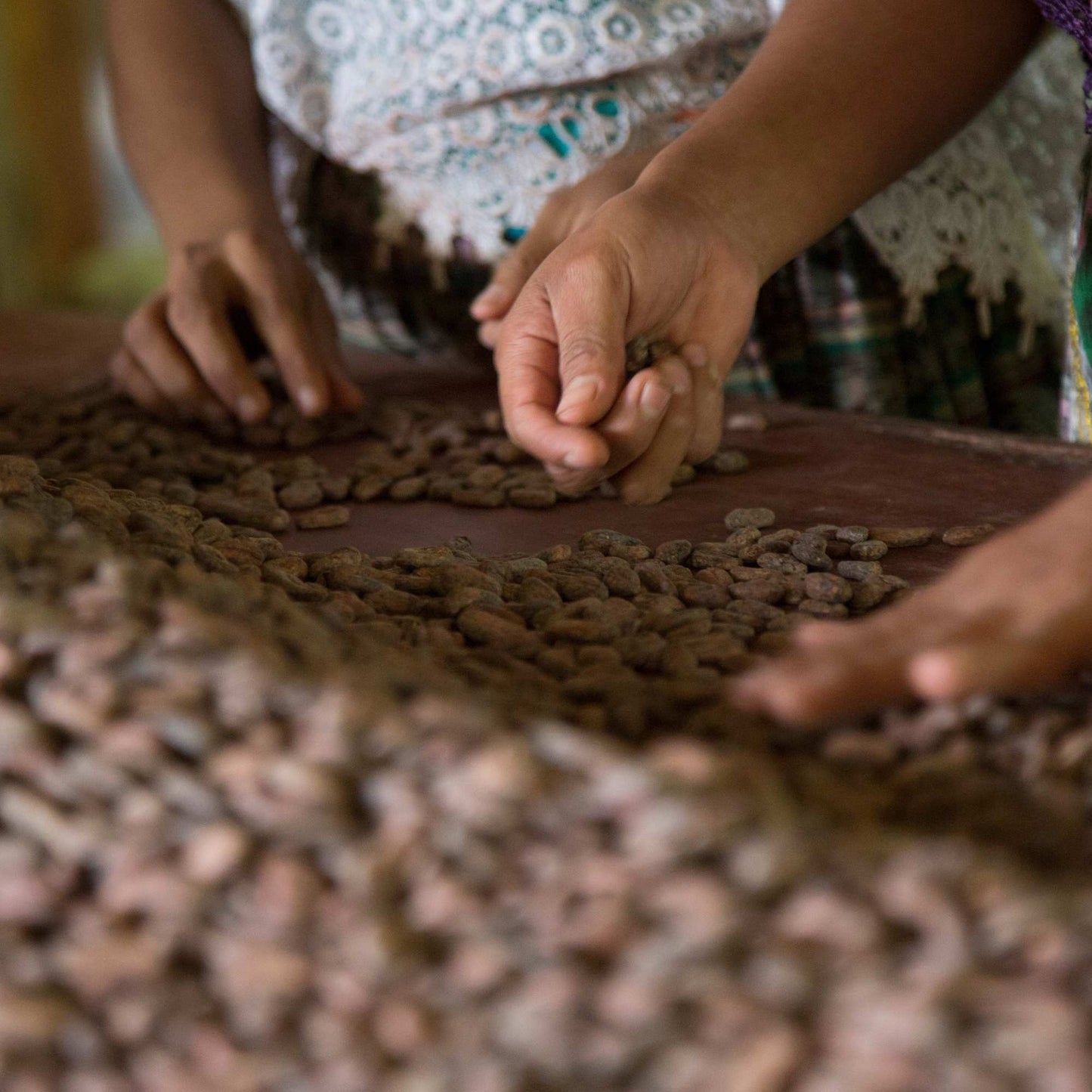 Slightly Roasted Cacao Beans Guatemala 30g
